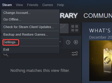 cannot download steam client