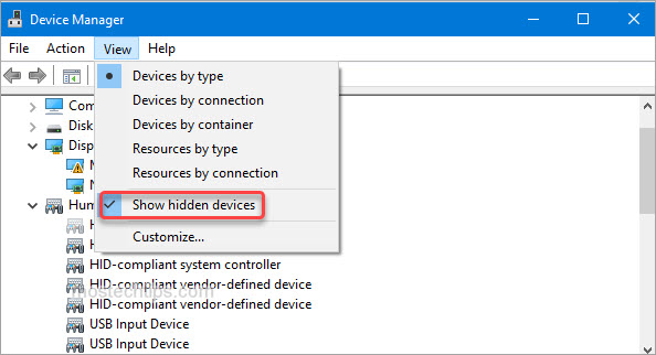 how to show hidden devices in device manager