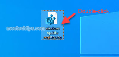 double click on the reg file to import windows update service registry key