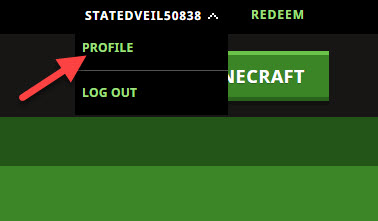 select profile on minecraft website